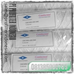 CBCW60 Continental Filter Cartridge Indonesia  large