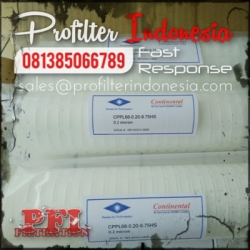 CPPL68 Pleated Filter Cartridge Indonesia  large