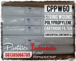 CPPW60 Continental Filter Cartridge Indonesia  large