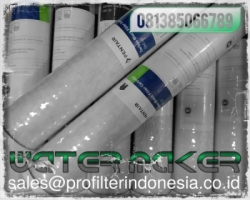 CTO Carbon Block Cartridge Filter Indonesia  large