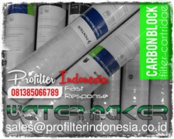 Carbon Block Cartridge Filter Indonesia  large