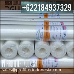 DW Filter Cartridge Indonesia  large