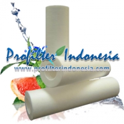 Filter Cartridge Grooved profilterindonesia pix  large