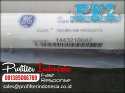 GE Suez RO Membrane PFI Indonesia  large