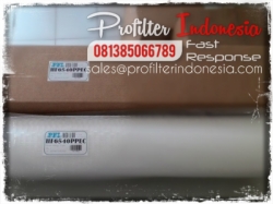 HF6 High Flow PFI Cartridge Filter Indonesia  large