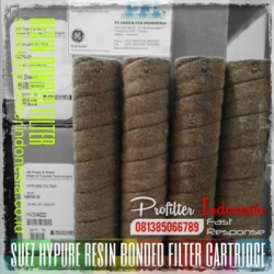 Hypure Resin Bonded Filter Cartridge Indonesia  large