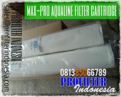 PFI Aqualine Cartridge Filter Indonesia  large