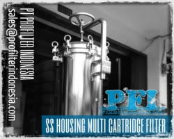 PFI Housing Multi Cartridge Filter Indonesia  large