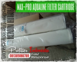 PFI Max Pro Aqualine Cartridge Filter Indonesia  large