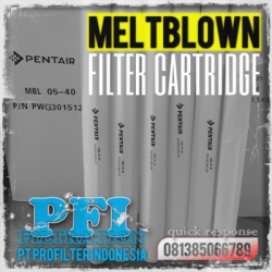 Pentair MBL PFI Filter Cartridge Indonesia  large