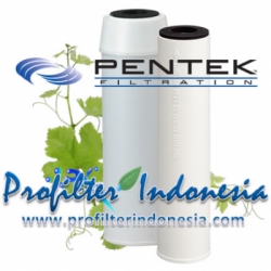 Pentek CC 10 Coconut Shell Granular Activated Carbon Cartridge Filter profilterindonesia  large