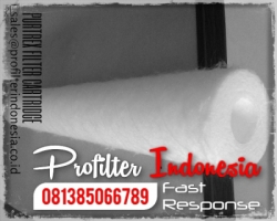 Purtrex Filter Cartridge Indonesia  large