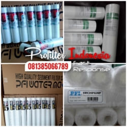 Sediment PFI Filter Cartridge Indonesia  large