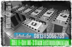 Suez E Cell MK 3 Stack Electrodeionization Indonesia  large