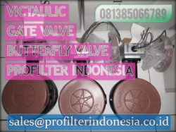 Victaulic Gate Butterfly Valve Indonesia  large