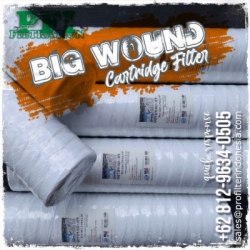 big wound cartridge filter indonesia  large