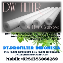 d DW PP Sediment Filter Cartridge Indonesia  large