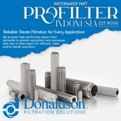 donaldson steam filter cartridge  large