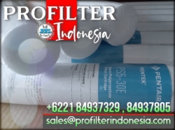 pentek ps5 cartridge filter pentair indonesia  large