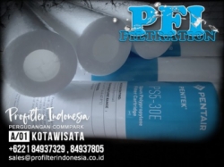 pentek ps5 filter cartridge indonesia  large