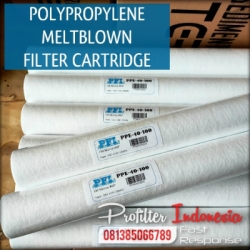 ppe 100 spun filter cartridge indonesia  large