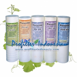 purerite filter cartridge profilterindonesia  large