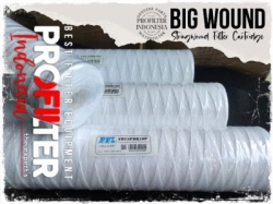 stringwound big blue filter cartridge  large